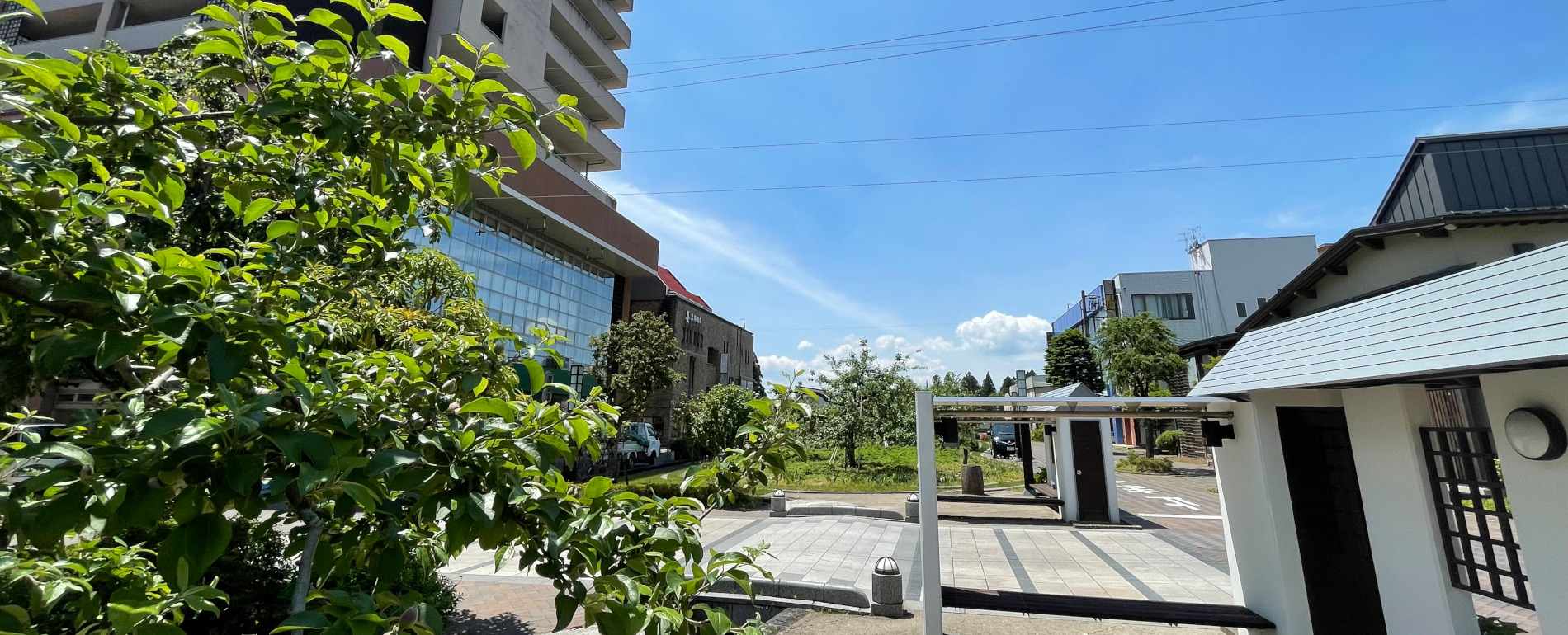 長野県飯田市本町りんご並木「なみきマーケット」