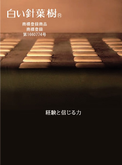 経験と信じる力、白い針葉樹